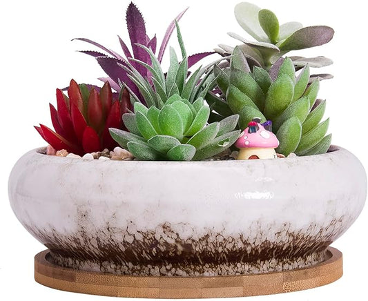 ARTKETTY Succulent Pots - 7.3 Inch Ceramic Bonsai Pot with Tray, Large Succulent Planters with Drainage, Shallow Planter for Indoor Cactus Plants Decorative Flower Plant Container Bowl