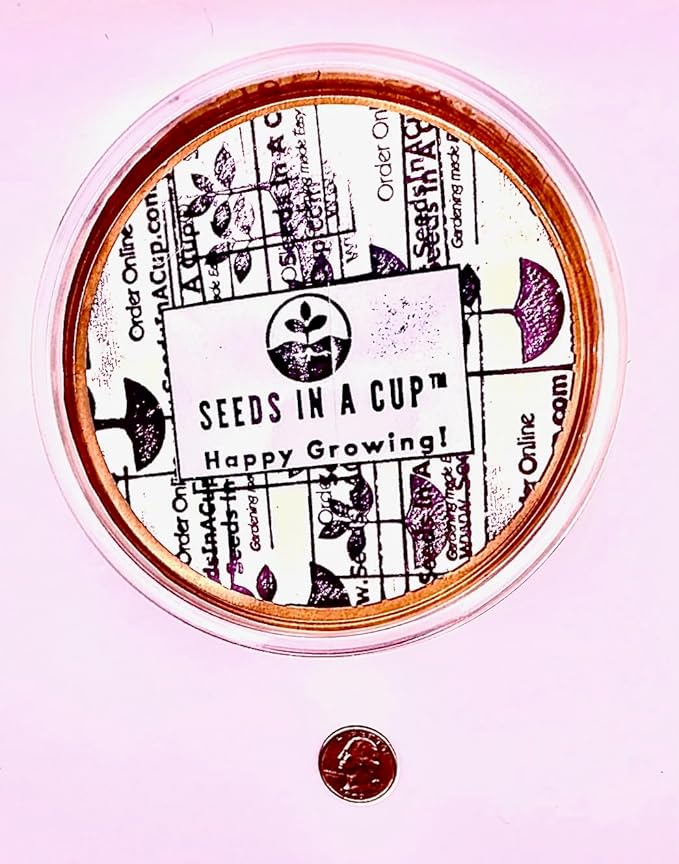 Ash Tree Seed Starter Kits from Seeds In A Cup | Educational | Great Gift Idea | Plant It for The Planet | Grow Your Own Trees | Plastic Planter