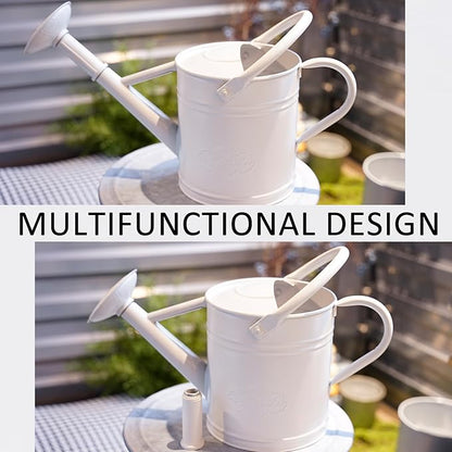 1 Gallon Metal Watering Can for Indoor Plants Outdoor Plants, Large Water Can, Garden Water Can for Kids, Detachable, Water Can with Handle, White