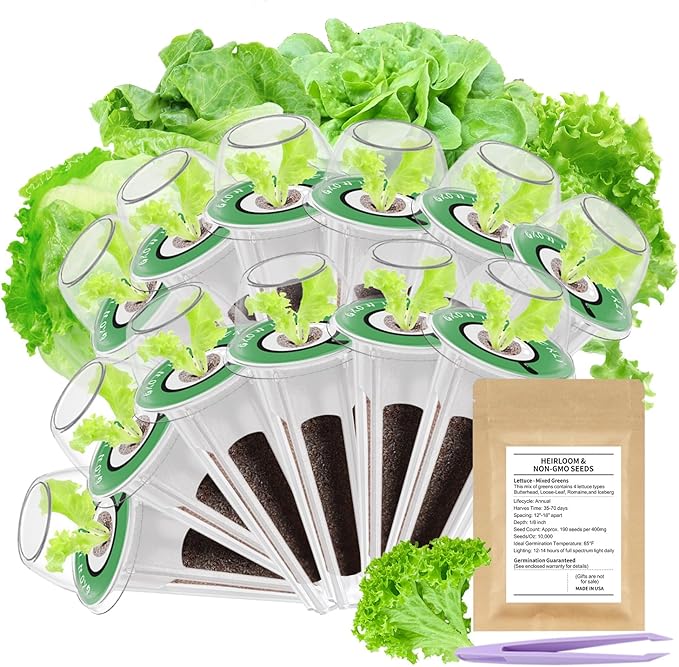 12-Pod Gourmet Herb Seed Kit Compatible with All Hydroponics, Hydroponic Growing Kit with Seeds & Grow Sponges – Indoor Garden Starter Set for Fresh Herbs & Vegetables (Salad Mixed Seed)
