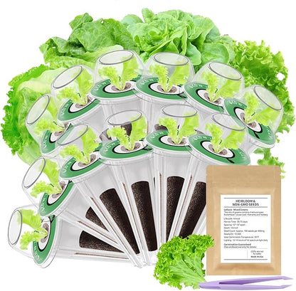 12-Pod Gourmet Herb Seed Kit Compatible with All Hydroponics, Hydroponic Growing Kit with Seeds & Grow Sponges – Indoor Garden Starter Set for Fresh Herbs & Vegetables (Salad Mixed Seed)