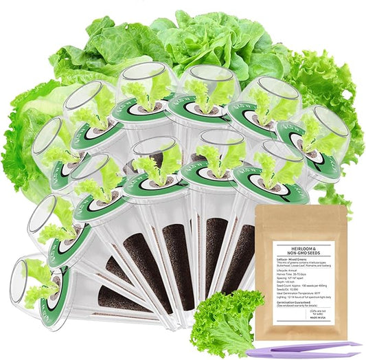 12-Pod Gourmet Herb Seed Kit Compatible with All Hydroponics, Hydroponic Growing Kit with Seeds & Grow Sponges – Indoor Garden Starter Set for Fresh Herbs & Vegetables (Salad Mixed Seed)