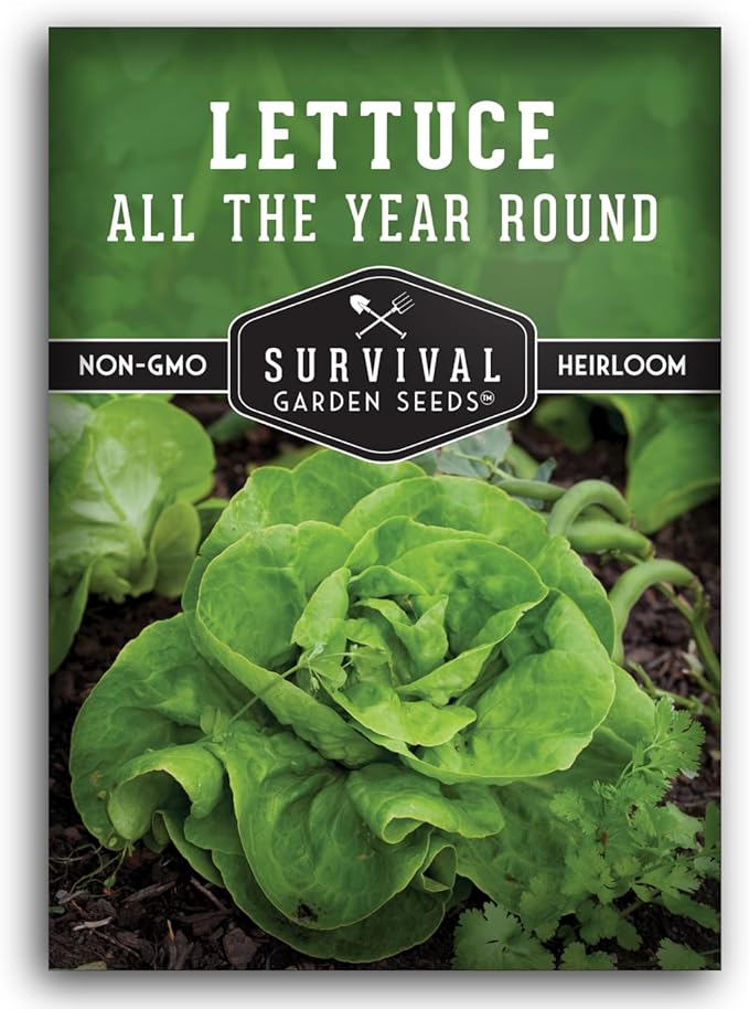 All The Year Round Lettuce Seed for Planting - 1 Packet with Instructions to Plant & Grow Adaptable Salad Greens in Your Home Vegetable Garden - Non-GMO Heirloom Variety - Survival Garden Seeds