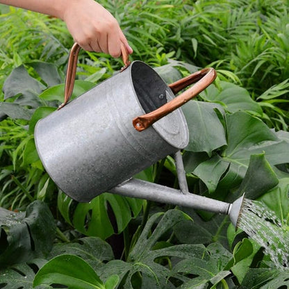 Metal Watering Can, One Gallon Watering Cans Stainless Steel for Outdoor Indoor Garden Plants Watering (Zinc 1 Gallon)