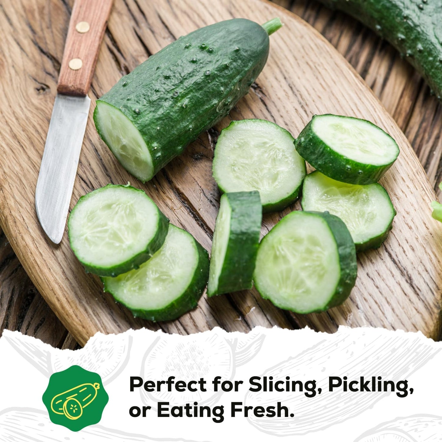 Marketmore Cucumber Seeds for Planting - 100 Seeds, Heirloom, Non-GMO Seed Packet - High Yield Slicing Cucumber for Home Garden, Indoor/Outdoor