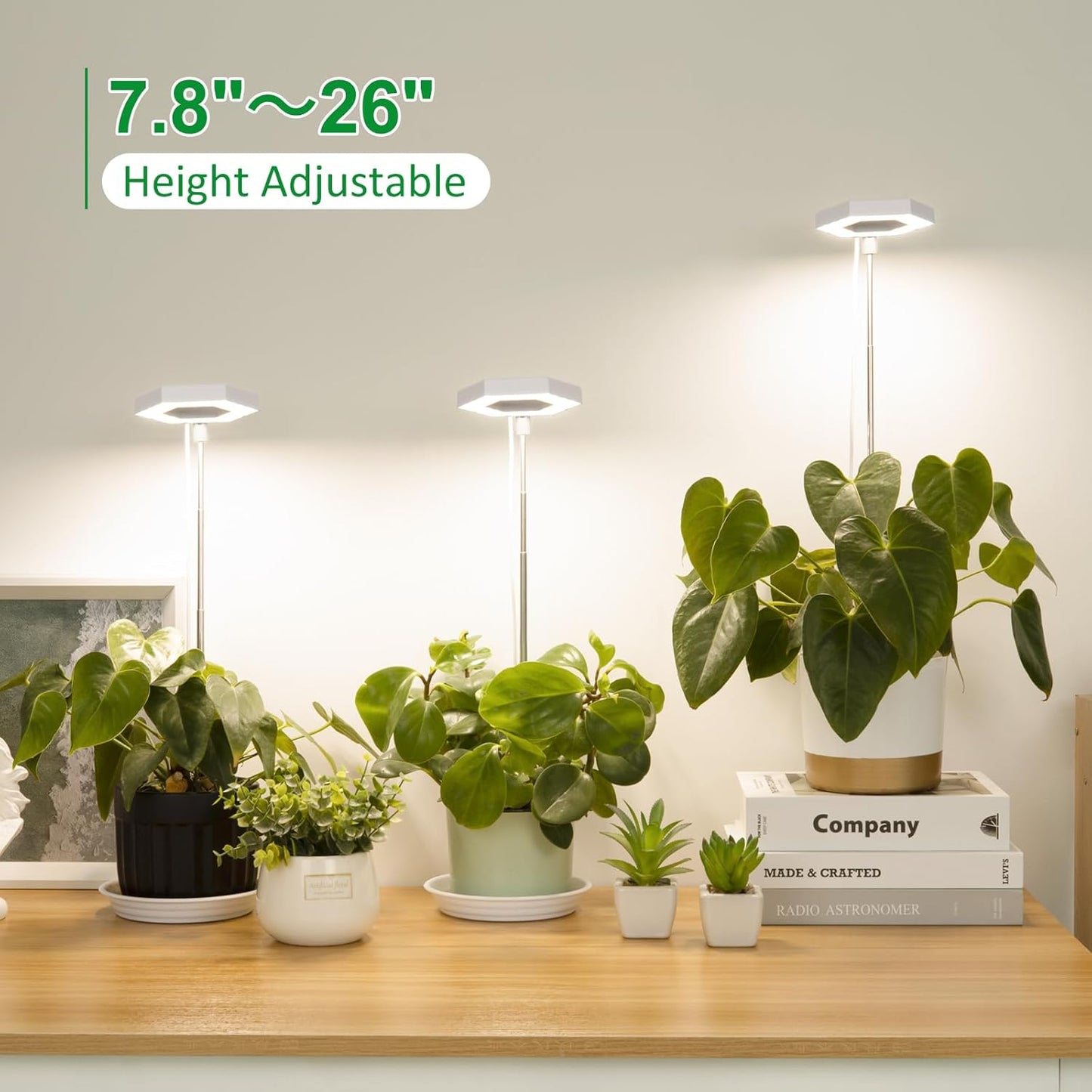 FOXGARDEN Grow Light, Full Spectrum LED Plant Light for Indoor Plants, Growing Lamp with Auto On/Off Timer 4/8/12H, 4 Dimmable Brightness, Height Adjustable, Ideal for Small Plants, 3 Packs