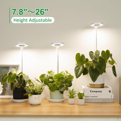 FOXGARDEN Grow Light, Full Spectrum LED Plant Light for Indoor Plants, Growing Lamp with Auto On/Off Timer 4/8/12H, 4 Dimmable Brightness, Height Adjustable, Ideal for Small Plants, 3 Packs