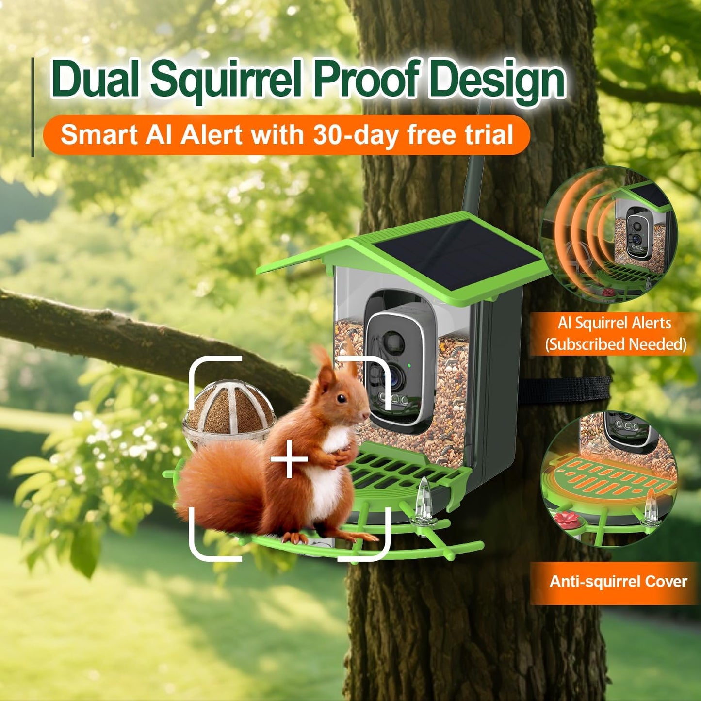 Smart Bird Feeder with Camera – 2K Live View, AI Bird Recognition, Squirrel-Proof, Dual Solar Roof, 5dB Antenna, Instant Alerts for Nature & Wildlife Lovers, Green