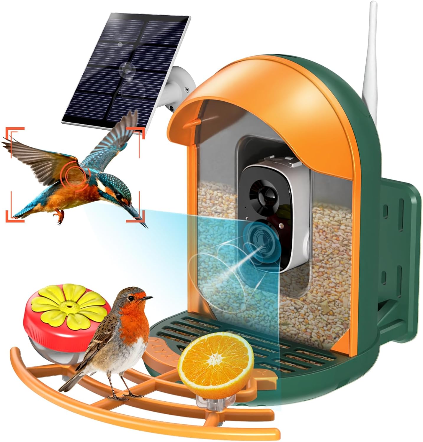 Smart Bird Feeder with Camera, Solar Powered Wireless Birds 2K HD Camera with APP Control, Night Vision, Motion Detection Alerts, IP66 Outdoor Birdfeeder for Backyard Garden Bird Watching, Green