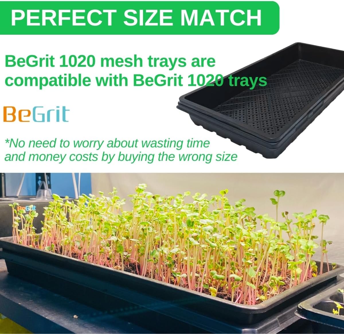 BeGrit 1020 Trays Thickened Nursery Plant Trays Seedling Tray Seed Starter Tray Microgreen Growing Tray No Drain Holes -6 Pack