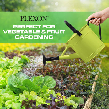 Plexon 1 Gallon Metal Watering Can Outdoor, Flower Plant Gardening Garden Large Watering Can Pot, Black Galvanized Steel Handles and Removable Spray Spout, Green