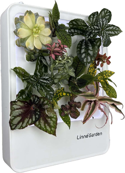 Indoor Garden Hydroponic System with LED Grow Light Indoor herb Garden, Indoor Garden Hydroponic System with LED Grow Light (White)