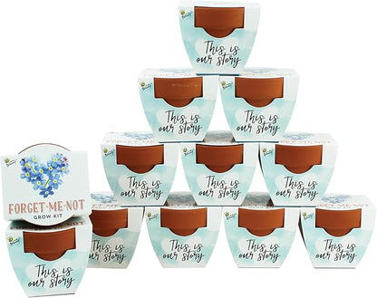 BUZZY Seeds Forget-Me-Not Terracotta Mini Grow Pots Love Collection, 12-Pack All-in-One Gardening Kit for Wedding Favors, Baby Shower Prizes, Birthday Gifts, or Party Favors