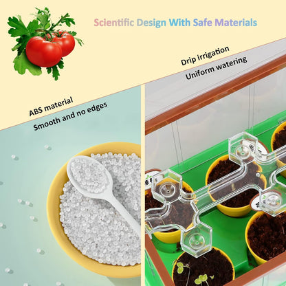 Kids Gardening Kit Greenhouse Growing Terrarium Kit Plant Growing Set Discovery Educational Gardening Gift for Boy & Girl