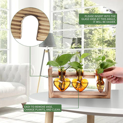 Plant Terrarium Propagation Stations Hydroponics Home Garden Decoration Gift for Women with Wooden Stand Heart Shaped Colored Glass Vase