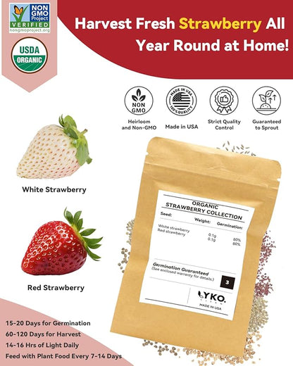 LYKOCLEAN Hydroponic Seed Pod Kit Compatible with AeroGarden, Ahopegarden, iDoo, MUFGA, 24 Pods Complete Growing Anything Garden Supply with Strawberry Seeds, Grow Sponges, Baskets, Domes, Labels