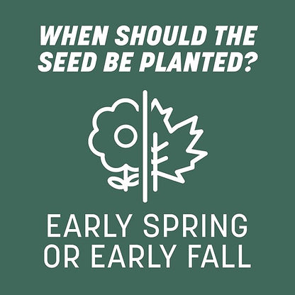 Pennington Kentucky 31 Tall Fescue Grass Seed 20 lb