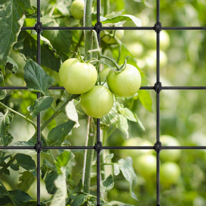 Trellis Netting, 5x5FT Elastic Trellis with 4 Hooks, Heavy-Duty Support for Indoor Plants, Gardening