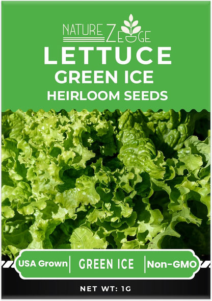 Lettuce Seeds for Planting, Red Romaine Lettuce, Bibb Butter Lettuce, Black Seeded Simpson, Green Ice Iceberg Lettuce, Non-GMO…