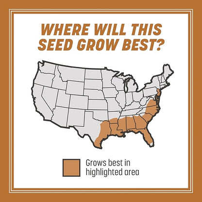 Pennington 100532365 Centipede Grass Seed & Mulch 5 LB, Black Label