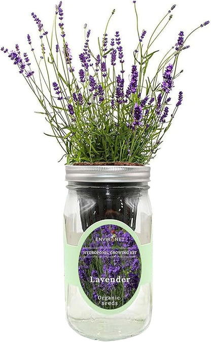 Hydroponic Herb Growing Kit, Self-Watering Mason Jar Herb Garden Starter Kit Indoor, Windowsill Herbs Garden, Grow Your Own Herbs from Organic Seeds (Lavender)