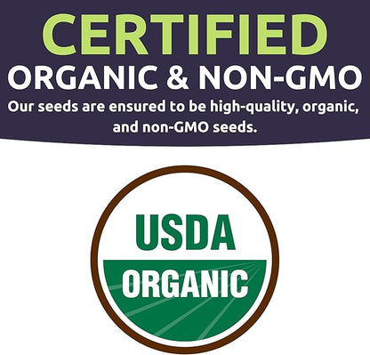 Organic Herb Seeds Variety Pack - 35 Individual Packs - 2025 Season - Basil, Cilantro, Dill, Thyme, Parsley and More! for Indoor & Outdoor Planting (Non-GMO, Certified Organic)