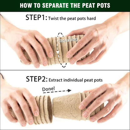 3T GROUP 50 Pcs 3 Inch Small Plant Pots,Compostable Flower Pots for Plants,Biodegradable Seed Pots,Disposable Planting Peat Pot Cups with Labels for Vegetables,Fruit