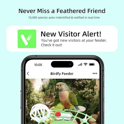 Bird Feeder with Camera, Smart Bird Cam with AI Identify BirdSpecies, Auto Record BirdVideo, Instant Notifications, 2K Video Live Stream Camera with Solar Panel for Birds Lover (Green)