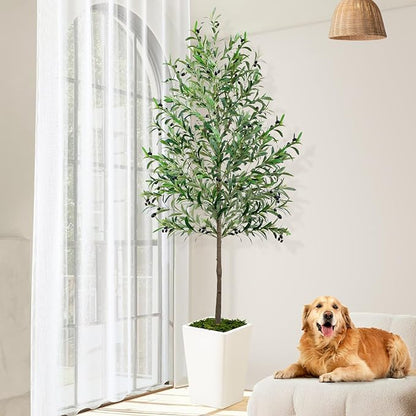 Olive Trees Artificial Indoor 7ft, Tall Faux Silk Plant with Pot, Realistic Leaves and Natural Wood Trunk Fake Trees with Lifelike Fruits for Home Office Decor Bedroom Livingroom Entryway Housewarming