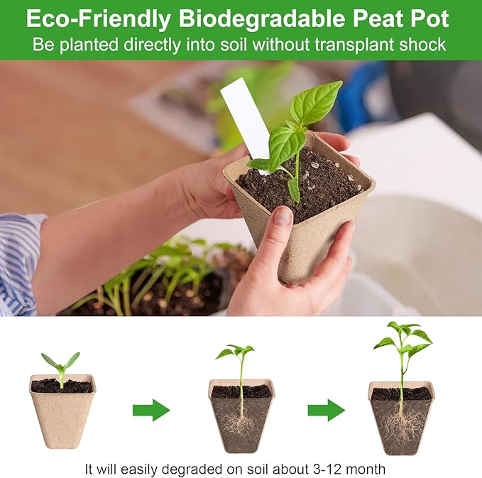 Square Peat Nursery Pots 150 Pcs 3in Biodegradable and Label, Used for Outdoor Gardens in Plant Nurseries