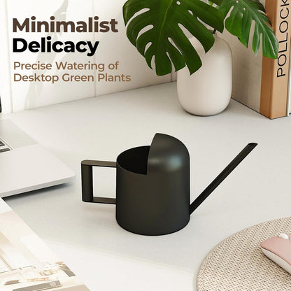 Bamworld Small Watering Can Indoor Outdoor Plant Black Metal Stainless Steel Long Spoutt Flowers Watering Cans for House Garden Plants 10OZ Watering Bottle Cute Decorative for Bonsai