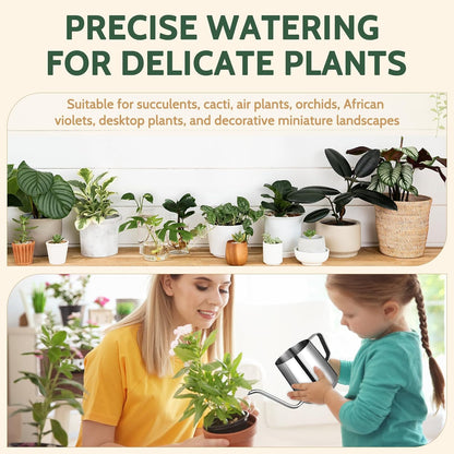Small Watering Can Indoor Plants - 12 oz Mini Metal Watering Can with Long Spout Rust-Proof Stainless Steel Tiny Watering Pot for Small Indoor Plants Home & Office
