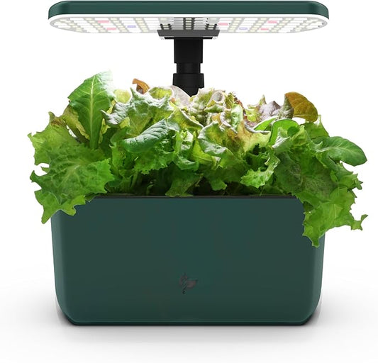 AeroGarden Harvest Lite, Indoor Garden Hydroponic System with LED Grow Light, Holds up to 6 AeroGarden Pods, Green