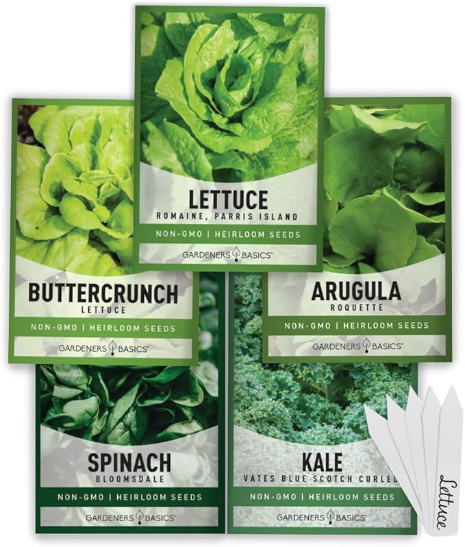 Gardeners Basics Lettuce and Greens Heirloom Vegetable Seed Non-GMO Seeds for Planting Indoors and Outdoor - Lettuce Buttercrunch, Romaine, Arugula, Kale and Spinach, Pack of 5