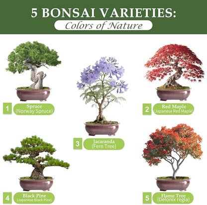 5 DIY Bonsai Tree Kit for Beginners, Complete Indoor Gardening Starter Kit with Seeds, Soils, Pots & Tools, Unique Birthday Gifts Ideas for Women, Men