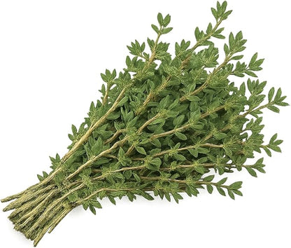 Herb Seedlings: Ready-to-Plant Seedlings, Starts, Plugs, Garden-Ready, Live Plants, Transplants, Pre-sprouted, for Soil & Hydroponic Gardens (XL (120 seedlings))