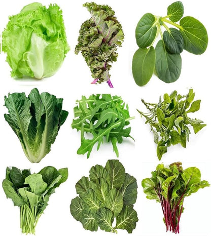 Greens Seeds Collection, 2500+ Seeds, 9 Heirloom Varieties, Arugula, Beet, Upland Cress, Vates Collard, Red Russian Kale, Crisphead Lettuce, Parris Island Lettuce, Tatsoi Mustard, Viroflay Spinach