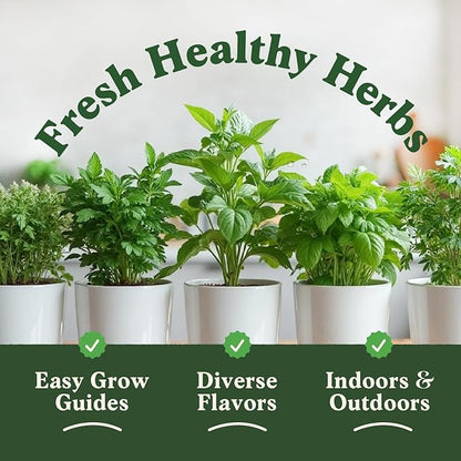 Seedboy Organic 5 Herb Variety Pack: Basil, Mint, Rosemary, Parsley, Cilantro for Planting Indoor and Outdoor, Non-GMO and USDA Certified Seed Packets (5 Herb Variety Pack)