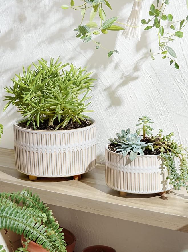 LE TAUCI Succulent Planters, 6.5+8 Inch Ceramic Indoor Plant Pot with Drainage Hole, Shallow Round Succulent Pots, Set of 2, Reactive Glaze White
