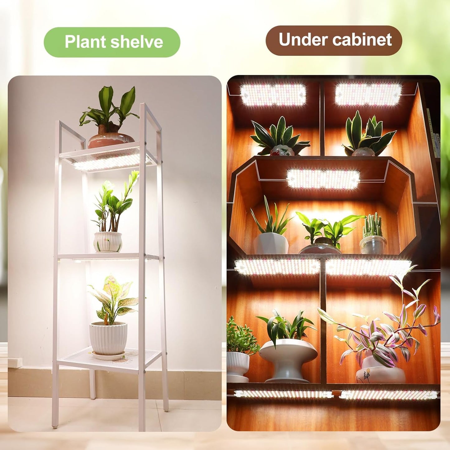 3Pack 2025 Ultra-Thin Panel Grow Lights for Seed Starting, Vegetables, Greenhouse & Under Cabinet & Shelf Plants with Timer 4/8/12H, Free Connect Full Spectrum Indoor LED Plant Growing Lamps