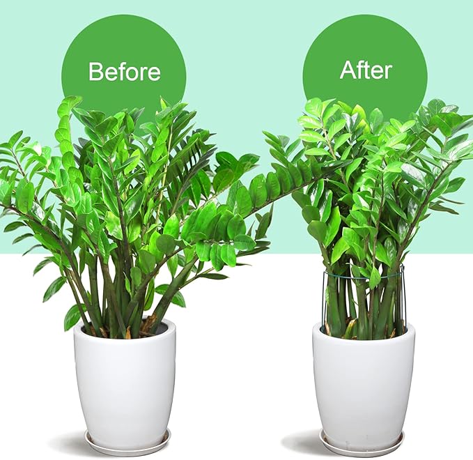 LEOBRO 12PCS Plant Supports, Peony Cages and Supports, Plant Stakes, Plant Support Stakes for Indoor Plants, Outdoor Plants, Monstera Hydrangea Support Cage, 10" W x 15.8" H