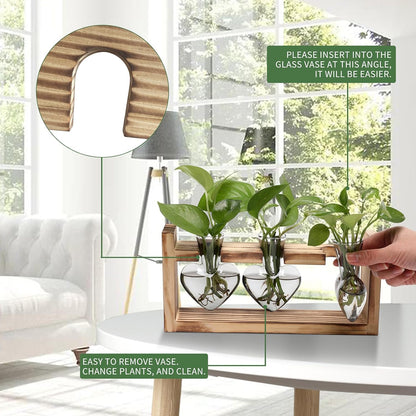 Plant Terrarium Propagation Stations Hydroponics Home Garden Decoration Gift for Women with Wooden Stand Heart Shaped Colored Glass Vase