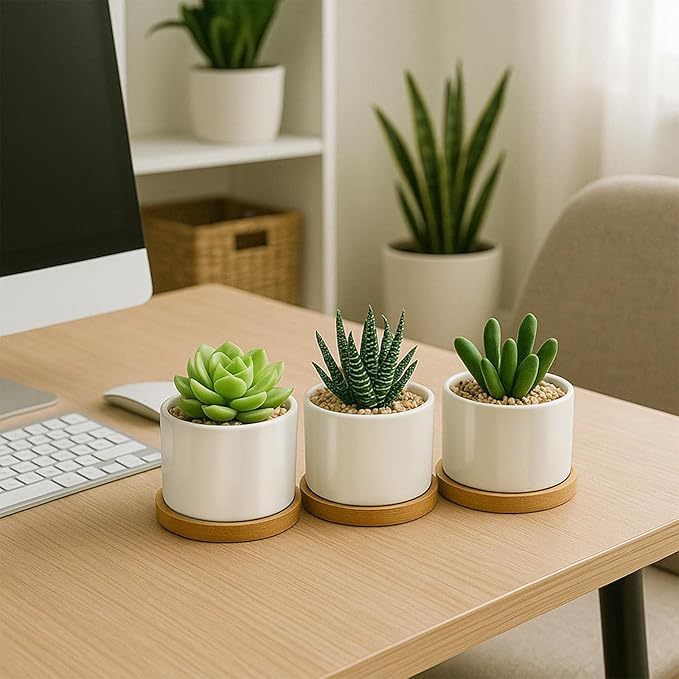 ZOUTOG Succulent Pots 3.1 Inch,8 Pack Succulent Planters,Small Pots for Plants with Drainage and Tray,White Ceramic Flower Planters for Indoor Plants,Home,Office,Desk