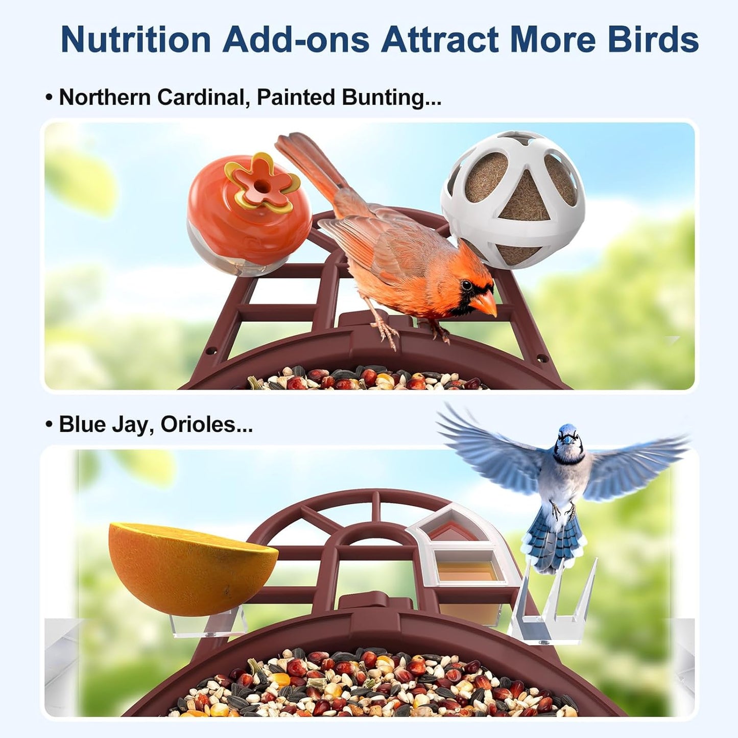 PeckCam® Bird Feeder with Camera with AI Identify 10000+ Birds Species, 3 Solar Panels, 2K Live View, Instant Arrival Alerts, Smart Bird House with Cam, Gift for Bird Lovers