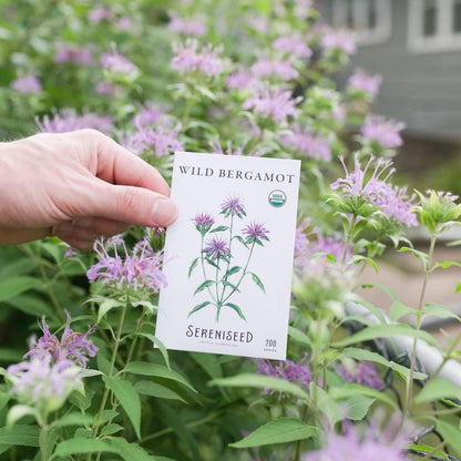 Sereniseed Certified Organic Herbal Tea Seed Collection (10-Pack) – 100% Non GMO, Open Pollinated – Grow Guide