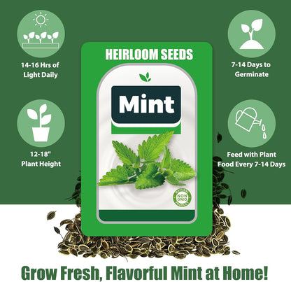 Mint Seed Pods for All Hydroponics Growing Systems, 12 Pods Herb Kit with Seeds of Peppermint, Grow Your Own Herb Garden at Home