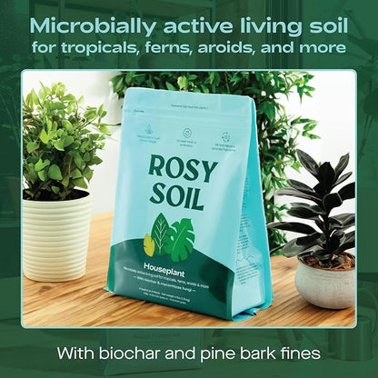 Rosy Soil Indoor Potting Soil for House Plants - Organic Potting Soil Mix for Indoor Plants - Enriched w/Root-Boosting Biochar for Foliage Plants, Flowers, Herbs - Peat Free, Less Prone to Gnats - 4qt