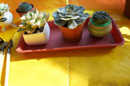 6 Pack Rectangular Plastic Plant Tray Saucer, Terracotta, 6 X 11 Inch, 100lbs Weight Capacity, Indoor/Outdoor, Windowsill Planter Tray