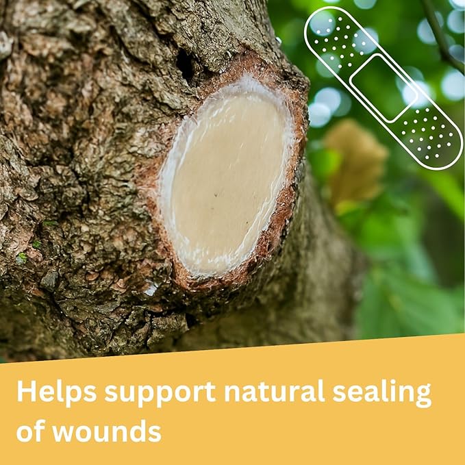 28 oz Transparent Tree Pruning Sealer - Tree Wound Sealer - Protective Coating for Pruning Cuts & Grafting Ideal for Tree Bark & Branch Care