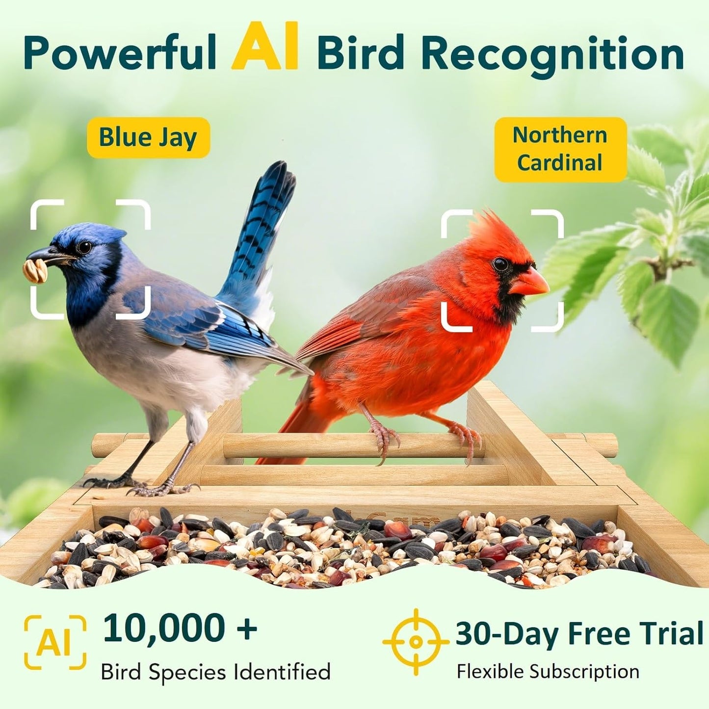 PeckCam® Bird Feeder with Camera - 4MP 2K Live AI Bird Species Identification Instant Arrival Alerts - Smart Cameras Birds Feeders Solar Powered Birdwatching Gift for Birdlover Mom Dad, 2.4GHz WiFi